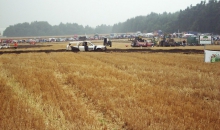 Stoppelfeld Dibbersen 2001 002