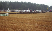 Stoppelfeld Dibbersen 2001 003