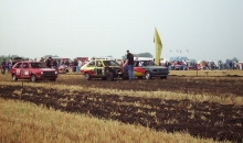 Stoppelfeld Dibbersen 2001 008