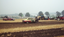Stoppelfeld Dibbersen 2001 010