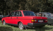 Volvo-Treffen Wildpark Eekholt 2017