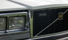 Volvo-Treffen Wildpark Eekholt 2017