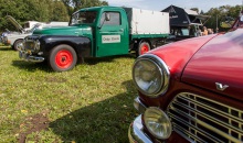 Volvo Treffen Wildpark Eekholt 2020