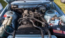 Volvo Treffen Wildpark Eekholt 2020