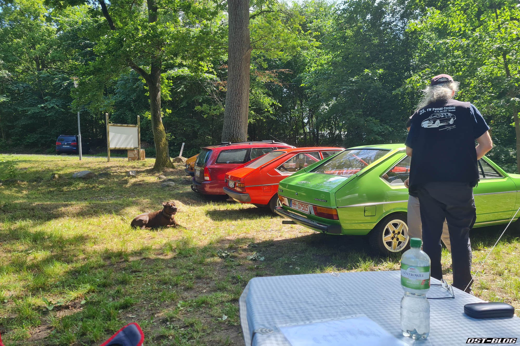 Passat-Treffen-Mueritz-2026-3