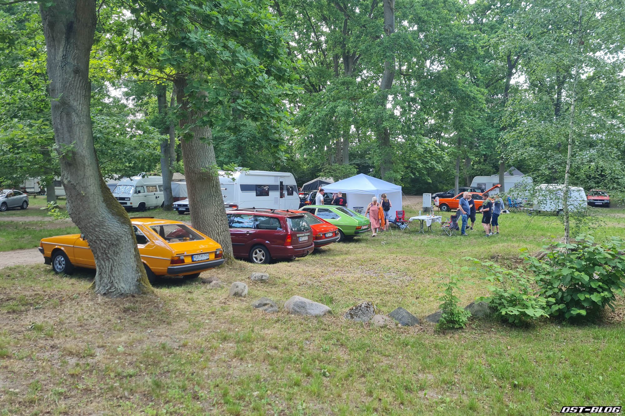 Passat-Treffen-Mueritz-2026-4
