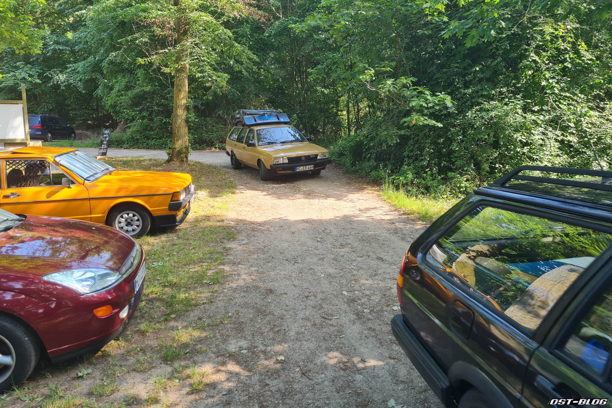 Passat-Treffen-Mueritz-2026-6