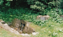 Passat-Treffen 1999  009