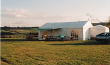 Passat-Treffen 1995-2  004