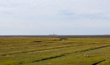 WATT´N TÖRN 4.0