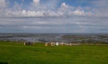 WATT´N TÖRN 5.0