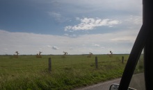 WATT´N TÖRN 5.0