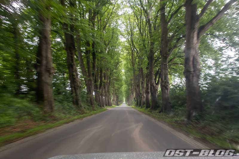 Lindenallee-schoenboecken