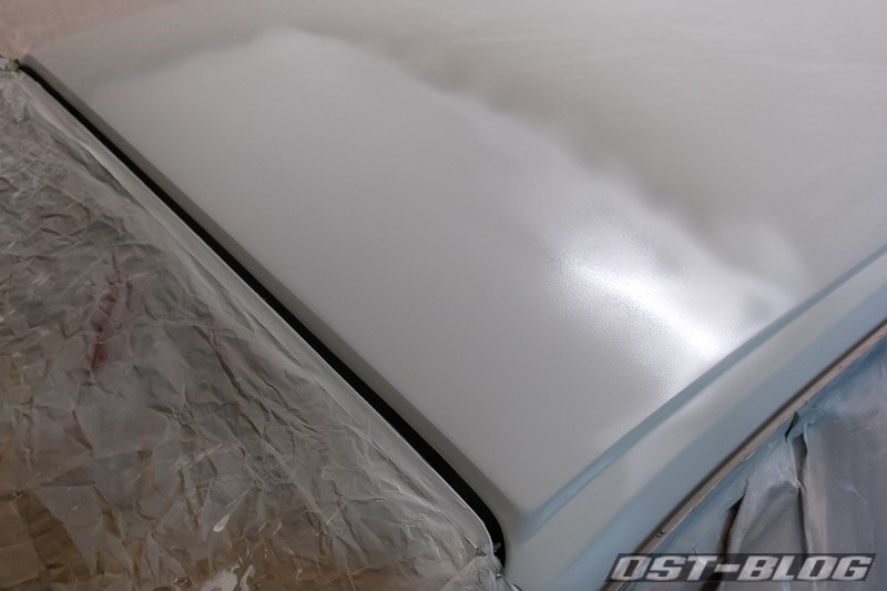 passat-dach-gefullert