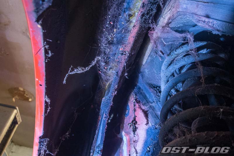 leben-unterm-Kotflügel