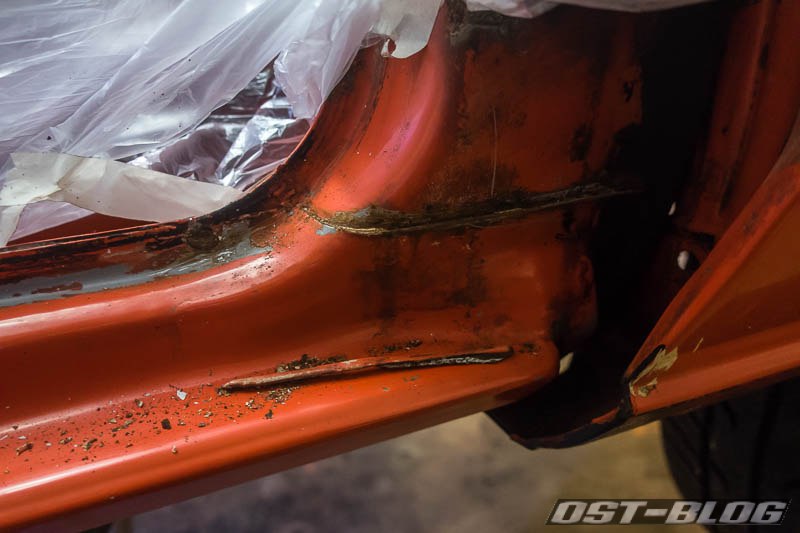 dichtraupe-abgefallen