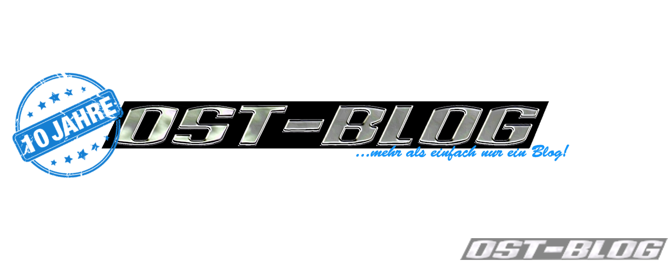 Typenschild 880 chrom mehr 10 Jahre